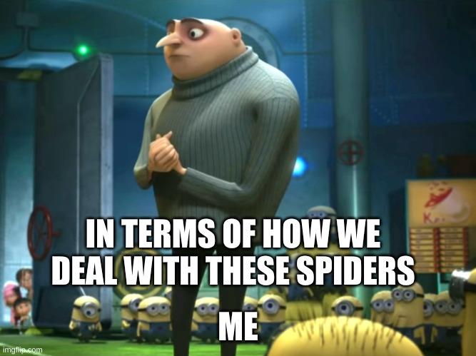 In terms of money, we have no money | IN TERMS OF HOW WE DEAL WITH THESE SPIDERS ME | image tagged in in terms of money we have no money | made w/ Imgflip meme maker