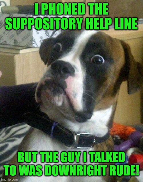 Surprised Dog | I PHONED THE SUPPOSITORY HELP LINE; BUT THE GUY I TALKED TO WAS DOWNRIGHT RUDE! | image tagged in surprised dog | made w/ Imgflip meme maker
