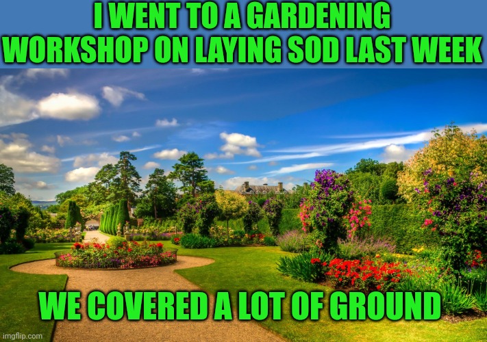 Beautiful Garden | I WENT TO A GARDENING WORKSHOP ON LAYING SOD LAST WEEK; WE COVERED A LOT OF GROUND | image tagged in beautiful garden | made w/ Imgflip meme maker