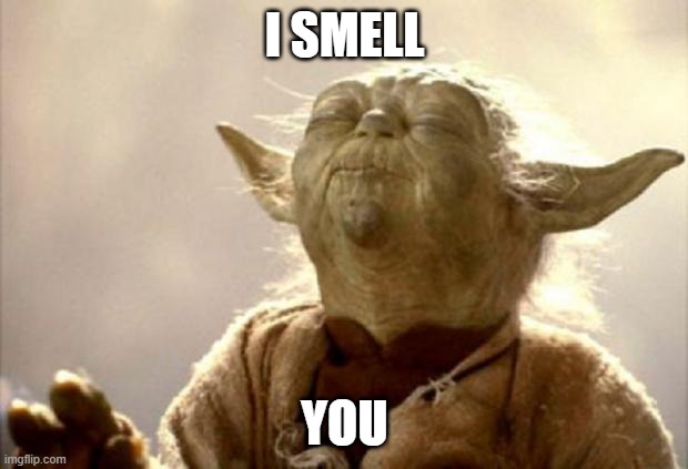 yoda smell | I SMELL YOU | image tagged in yoda smell | made w/ Imgflip meme maker