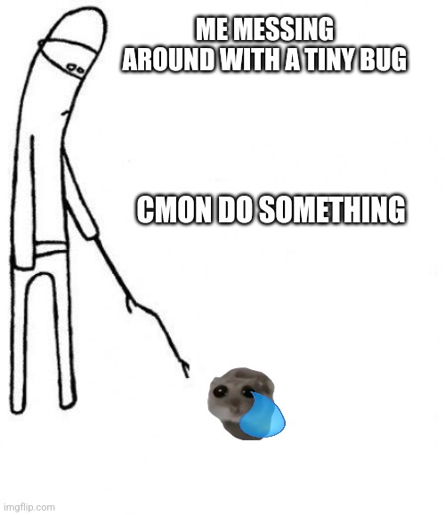 Bug | ME MESSING AROUND WITH A TINY BUG; CMON DO SOMETHING | image tagged in c'mon do something | made w/ Imgflip meme maker