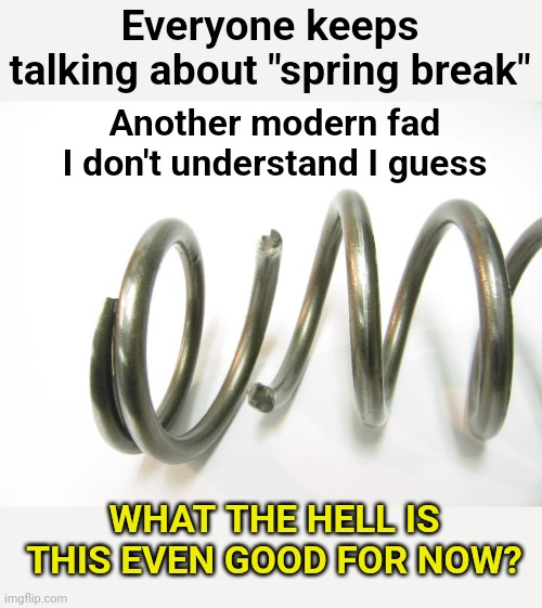 Everyone keeps talking about "spring break"; Another modern fad I don't understand I guess; WHAT THE HELL IS THIS EVEN GOOD FOR NOW? | image tagged in spring break,dad joke,what can i say except you're welcome | made w/ Imgflip meme maker