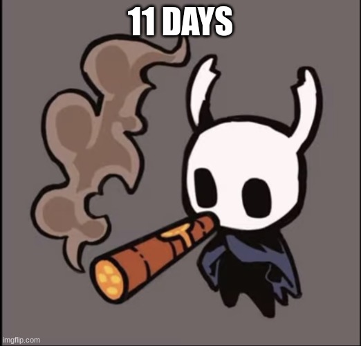 if you know you know | 11 DAYS | image tagged in thebubbers11 info template | made w/ Imgflip meme maker