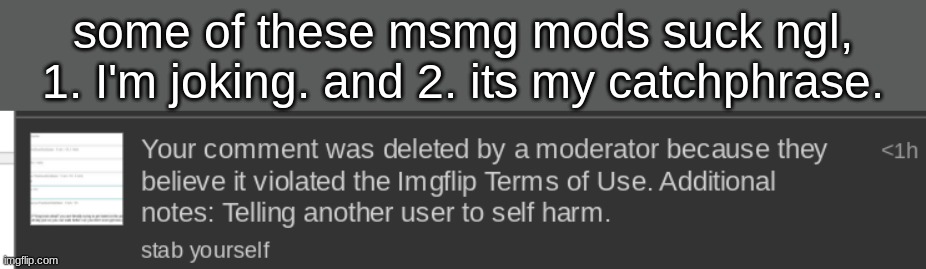 some of these msmg mods suck ngl, 1. I'm joking. and 2. its my catchphrase. | made w/ Imgflip meme maker