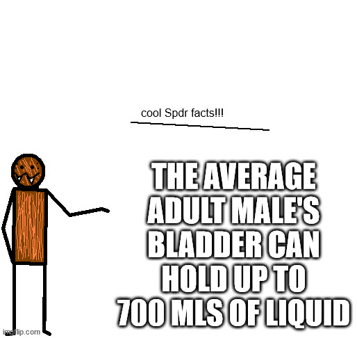 cool spdr facts | THE AVERAGE ADULT MALE'S BLADDER CAN HOLD UP TO 700 MLS OF LIQUID | image tagged in cool spdr facts | made w/ Imgflip meme maker