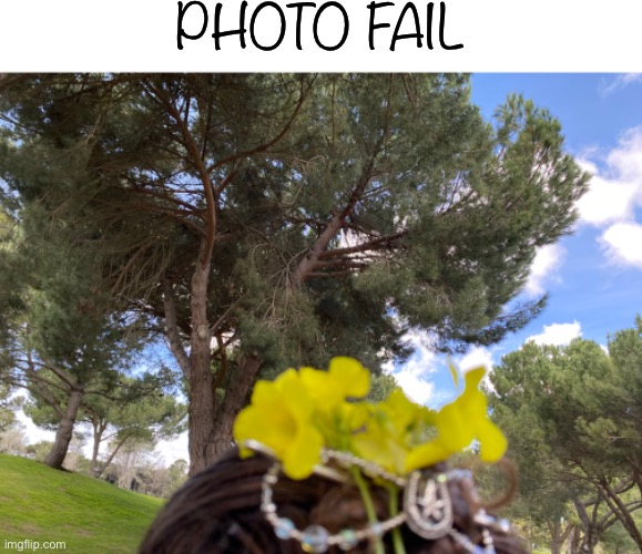 tried to take a picture of the back of my head lol | PHOTO FAIL | image tagged in nice picture of the tree,picture,photo fail | made w/ Imgflip meme maker