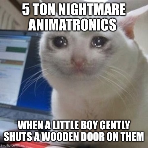 Crying cat | 5 TON NIGHTMARE ANIMATRONICS WHEN A LITTLE BOY GENTLY SHUTS A WOODEN DOOR ON THEM | image tagged in crying cat | made w/ Imgflip meme maker