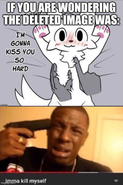 IF YOU ARE WONDERING THE DELETED IMAGE WAS: | image tagged in i m going to kill myself,imma kill myself | made w/ Imgflip meme maker