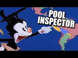 Pool inspector Blank Meme Template