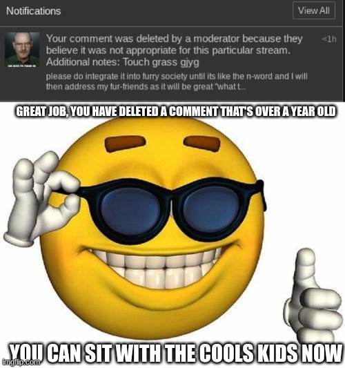 GREAT JOB, YOU HAVE DELETED A COMMENT THAT'S OVER A YEAR OLD; YOU CAN SIT WITH THE COOLS KIDS NOW | image tagged in thumbs up emoji | made w/ Imgflip meme maker