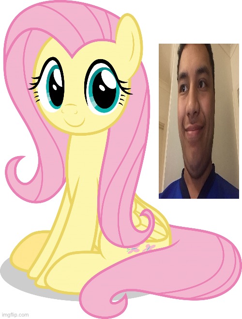 Elia Vaine Tanga (Me) X Fluttershy | image tagged in fluttershy transparent | made w/ Imgflip meme maker