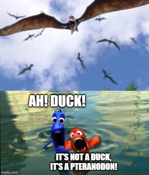 Marlin and Dory Meet Pteranodon | AH! DUCK! IT'S NOT A DUCK, IT'S A PTERANODON! | image tagged in jurassic park,jurassic world,finding nemo,disney,pixar | made w/ Imgflip meme maker