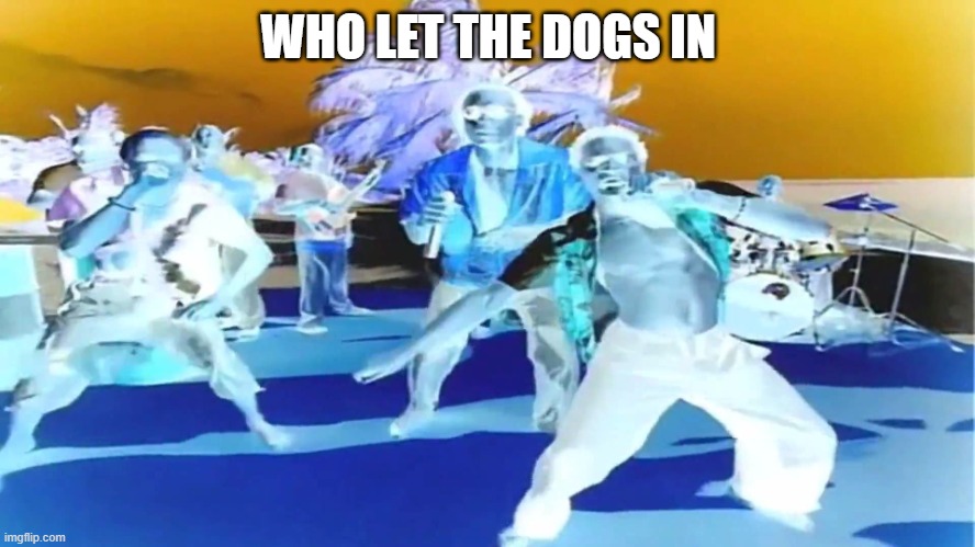 Who let the dogs out  | WHO LET THE DOGS IN | image tagged in who let the dogs out | made w/ Imgflip meme maker