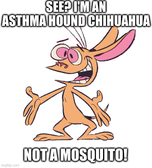 ren hoek | SEE? I'M AN ASTHMA HOUND CHIHUAHUA; NOT A MOSQUITO! | image tagged in ren hoek | made w/ Imgflip meme maker