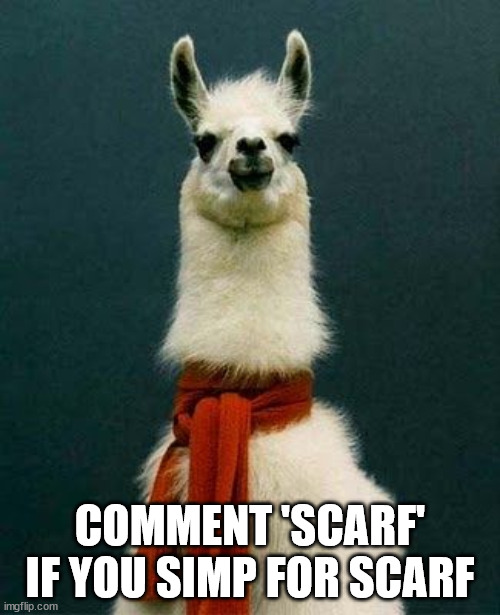 Scarf Llama | COMMENT 'SCARF' IF YOU SIMP FOR SCARF | image tagged in scarf llama | made w/ Imgflip meme maker