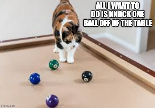 memes by Brad cat on billiards pool table humor | ALL I WANT TO DO IS KNOCK ONE BALL OFF OF THE TABLE | image tagged in cats,funny,funny cat memes,humor,funny cat | made w/ Imgflip meme maker