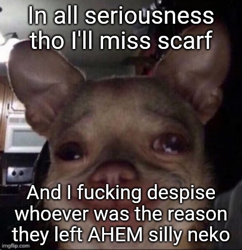 crying dog | In all seriousness tho I'll miss scarf; And I fucking despise whoever was the reason they left AHEM silly neko | image tagged in crying dog | made w/ Imgflip meme maker