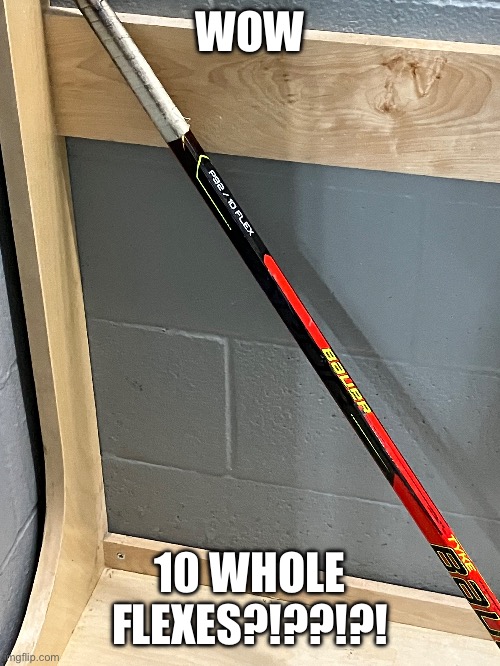 So much flex!! | WOW; 10 WHOLE FLEXES?!??!?! | image tagged in hockey,memes | made w/ Imgflip meme maker