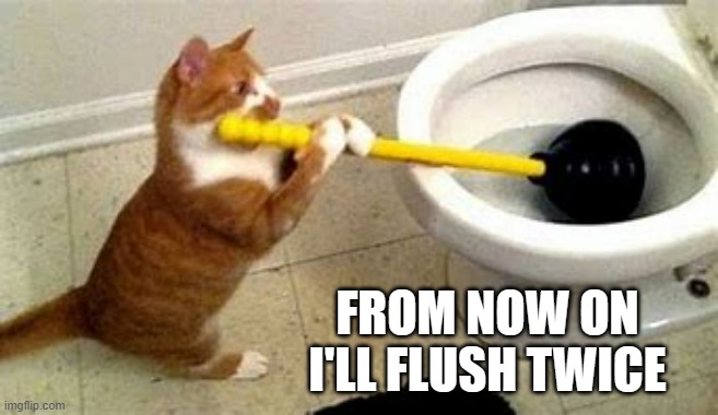 memes by Brad cat fixing toilet | FROM NOW ON I'LL FLUSH TWICE | image tagged in cats,funny,funny cat memes,humor,funny cat,toilet humor | made w/ Imgflip meme maker