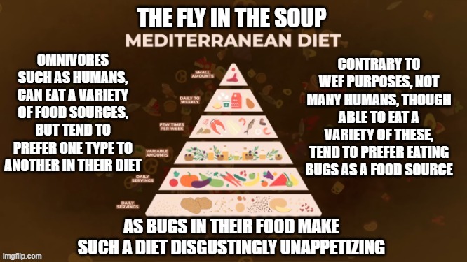 THE FLY IN THE SOUP | made w/ Imgflip meme maker