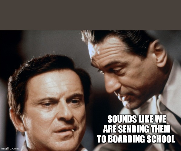 Pesci and De Niro Goodfellas | SOUNDS LIKE WE ARE SENDING THEM TO BOARDING SCHOOL | image tagged in pesci and de niro goodfellas | made w/ Imgflip meme maker