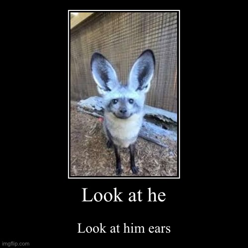 Look at he | Look at him ears | image tagged in funny,demotivationals | made w/ Imgflip demotivational maker
