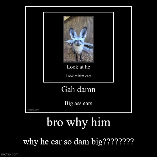 bro why him | why he ear so dam big???????? | image tagged in funny,demotivationals | made w/ Imgflip demotivational maker