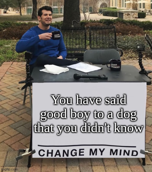 Change My Mind (tilt-corrected) | You have said good boy to a dog that you didn't know | image tagged in change my mind tilt-corrected,change my mind,memes | made w/ Imgflip meme maker