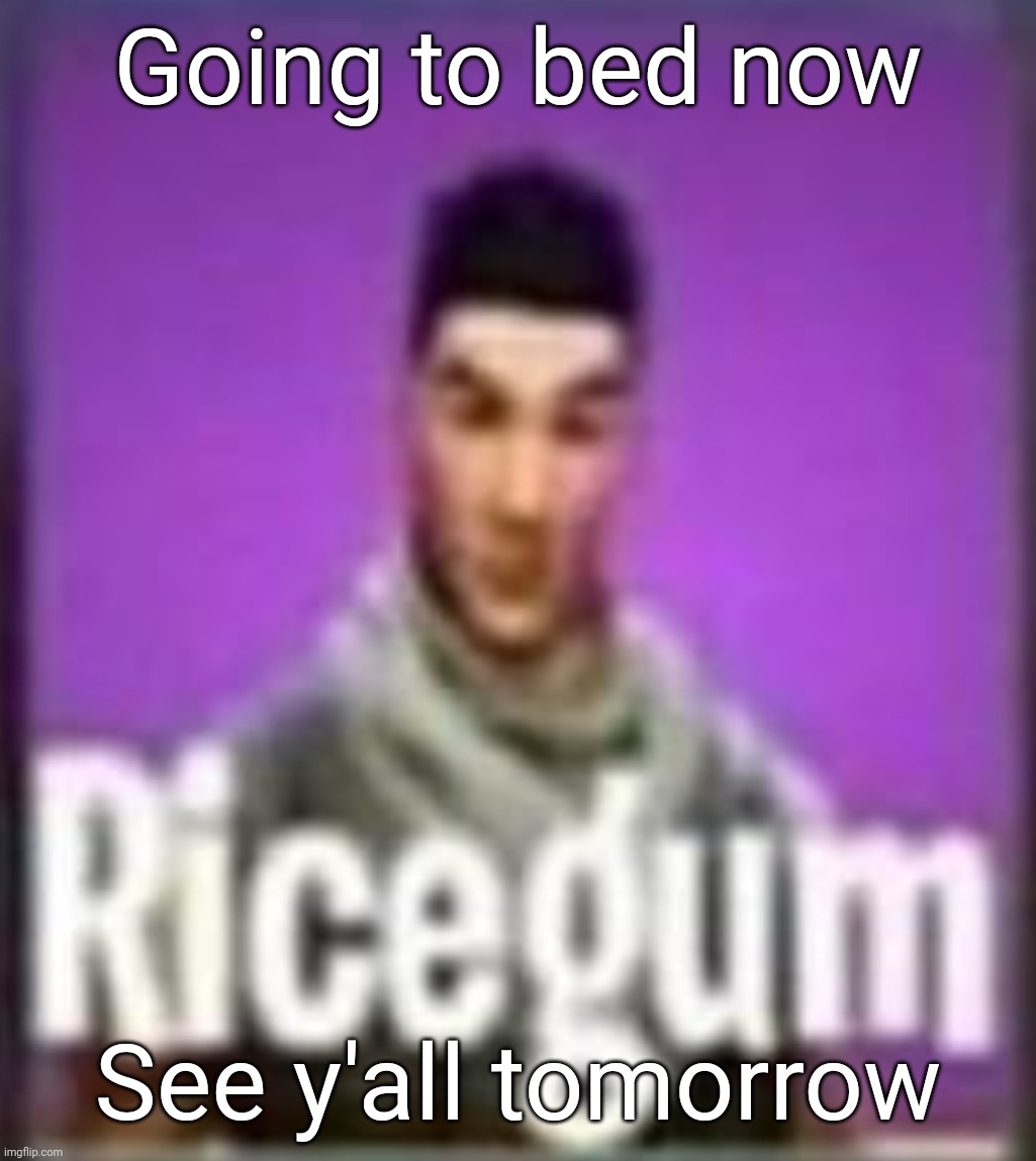 Ricegum | Going to bed now; See y'all tomorrow | image tagged in ricegum | made w/ Imgflip meme maker