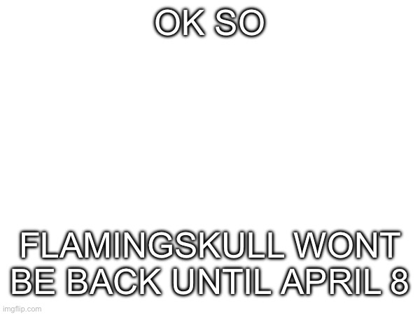 OK SO; FLAMINGSKULL WONT BE BACK UNTIL APRIL 8 | image tagged in idk | made w/ Imgflip meme maker