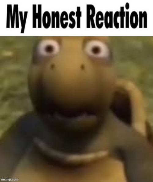 guh | image tagged in my honest reaction blank | made w/ Imgflip meme maker