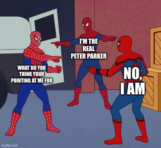 Spooder man | I'M THE REAL PETER PARKER; WHAT DO YOU THINK YOUR POINTING AT ME FOR; NO, I AM | image tagged in spider man triple | made w/ Imgflip meme maker