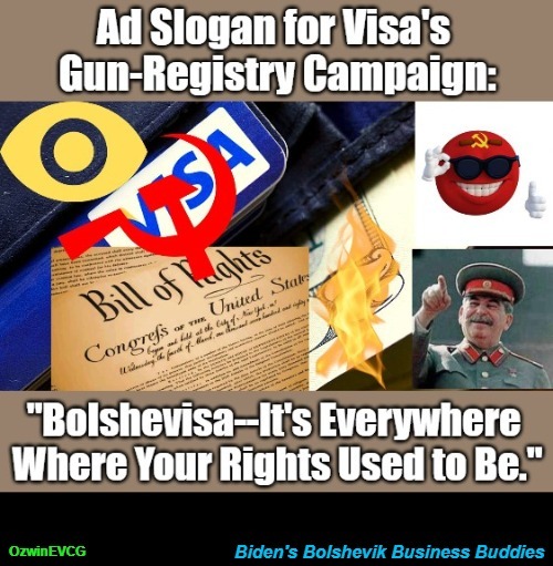 Biden's Bolshevik Business Buddies [NV] | image tagged in visa ad,team biden,corporate collusion,gun registry,occupied america,bill of rights | made w/ Imgflip meme maker