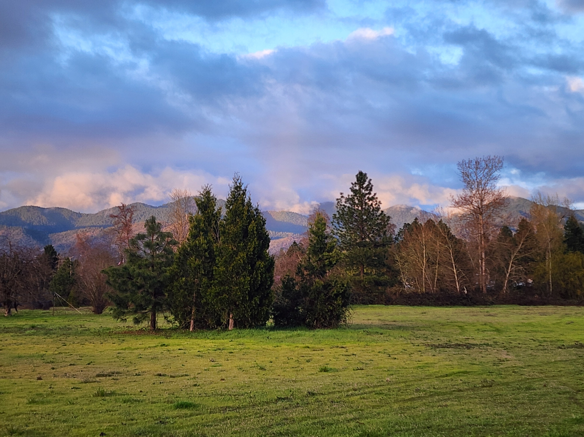 High Quality Orchard Sunset Blank Meme Template