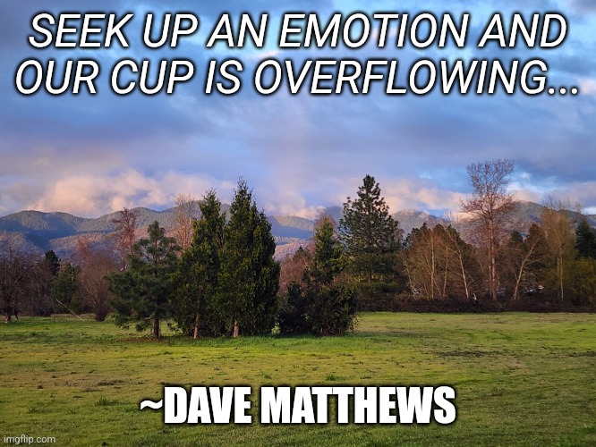 Seek Up by DMB | SEEK UP AN EMOTION AND OUR CUP IS OVERFLOWING... ~DAVE MATTHEWS | image tagged in orchard sunset | made w/ Imgflip meme maker