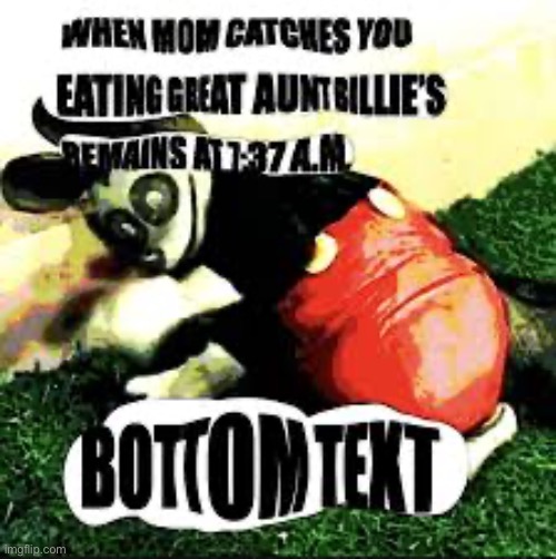 made w/ Imgflip meme maker