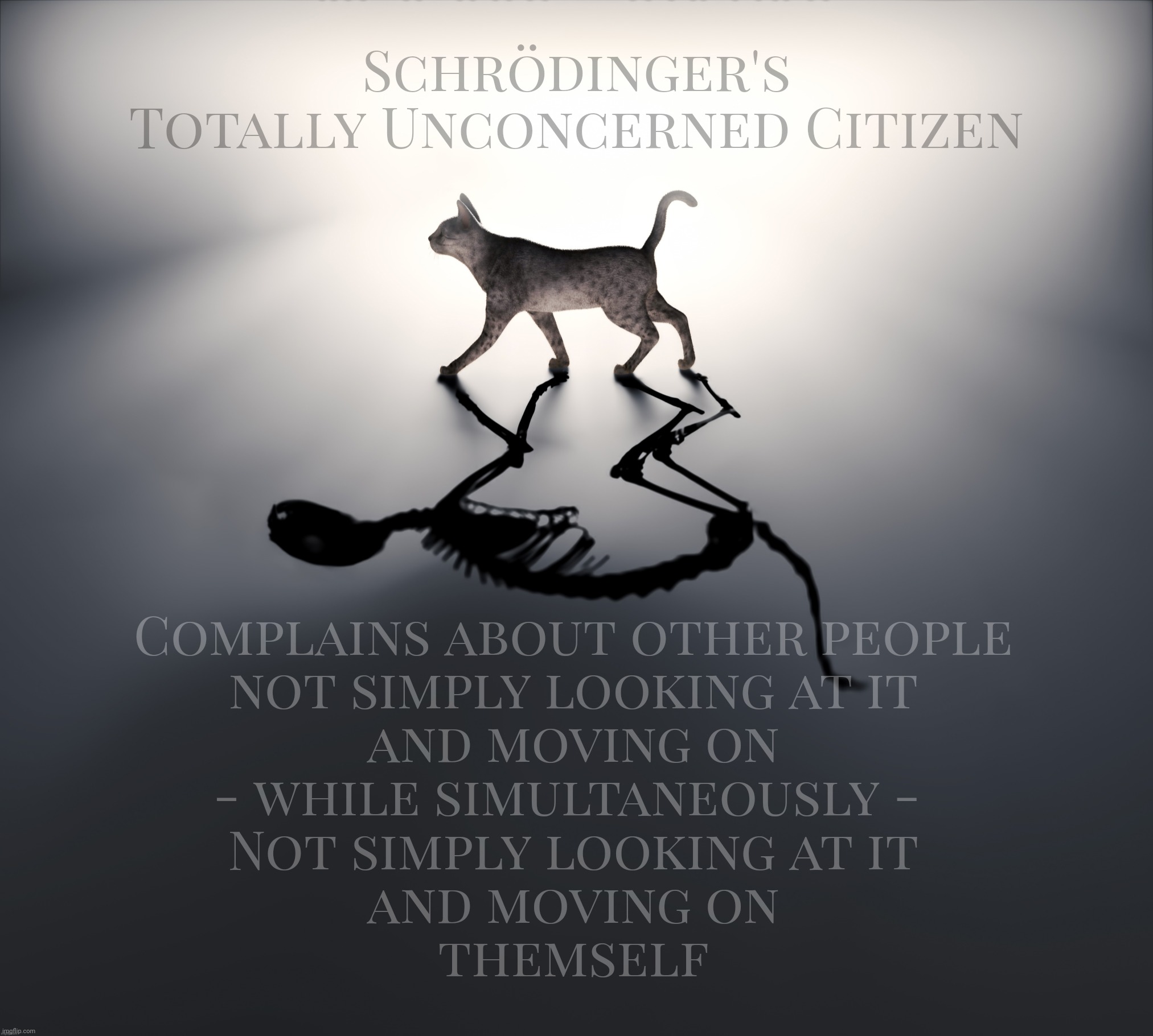 When folks kick up a ruckus all the while claiming they really don't care and can't understand why anybody else does either | Schrödinger's
Totally Unconcerned Citizen; Complains about other people
not simply looking at it
and moving on
- while simultaneously - 
Not simply looking at it
and moving on
themself | image tagged in schrodinger's cat,concerned citizen,karen,karens gotta karen,trigger mechanism engaged,mind your own business and move on then | made w/ Imgflip meme maker