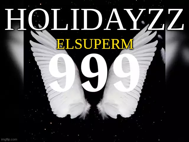 New username | HOLIDAYZZ; ELSUPERM | image tagged in m | made w/ Imgflip meme maker