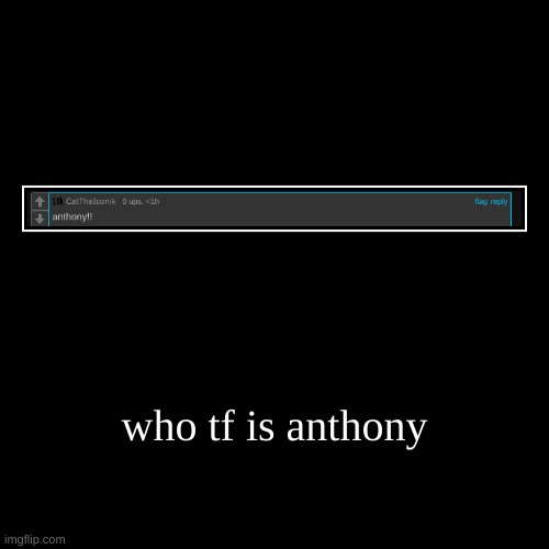 who tf is anthony | | image tagged in funny,demotivationals | made w/ Imgflip demotivational maker