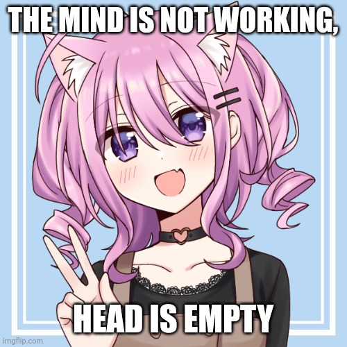 Cat girl UwU | THE MIND IS NOT WORKING, HEAD IS EMPTY | image tagged in cat girl uwu | made w/ Imgflip meme maker