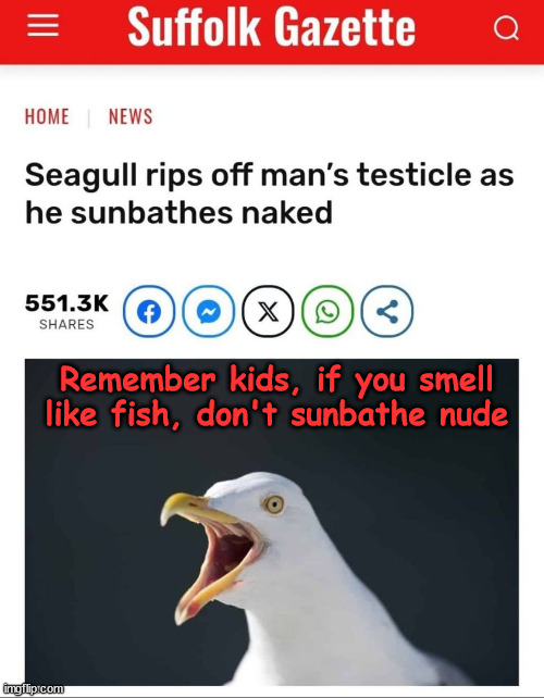It's not just the water you have to worry about. | Remember kids, if you smell like fish, don't sunbathe nude | image tagged in dark humour,nude sunbathing,warning,seagulls,vicious | made w/ Imgflip meme maker