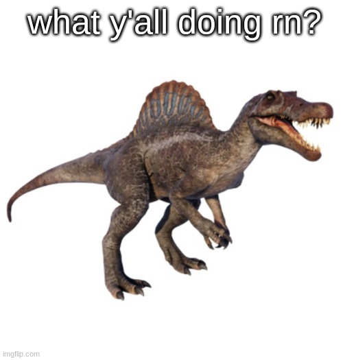 JPSpinoSaurus's other announcement temp | what y'all doing rn? | image tagged in jpspinosaurus's other announcement temp | made w/ Imgflip meme maker