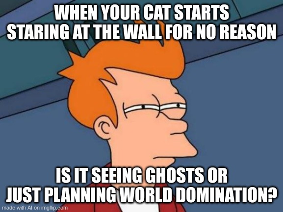 Futurama Fry | WHEN YOUR CAT STARTS STARING AT THE WALL FOR NO REASON; IS IT SEEING GHOSTS OR JUST PLANNING WORLD DOMINATION? | image tagged in memes,futurama fry,funny | made w/ Imgflip meme maker