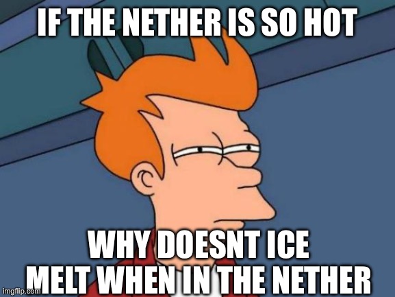 Futurama Fry Meme | IF THE NETHER IS SO HOT; WHY DOESNT ICE MELT WHEN IN THE NETHER | image tagged in memes,futurama fry | made w/ Imgflip meme maker