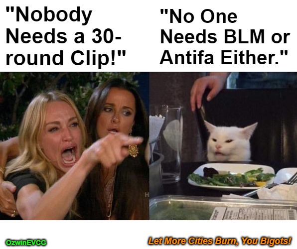 Let More Cities Burn, You Bigots! [NV] | "Nobody 

Needs a 30-

round Clip!"; "No One 

Needs BLM or 

Antifa Either."; Let More Cities Burn, You Bigots! OzwinEVCG | image tagged in 30 rounds,summer of science and love,blm and antifa,liberal logic,self-defense and civilization,looting and rioting | made w/ Imgflip meme maker