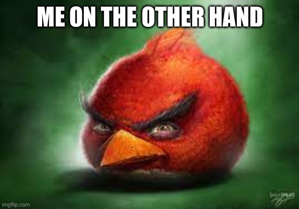 Realistic Red Angry Birds | ME ON THE OTHER HAND | image tagged in realistic red angry birds | made w/ Imgflip meme maker