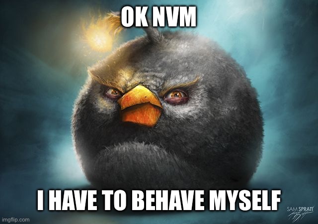 angry birds bomb | OK NVM; I HAVE TO BEHAVE MYSELF | image tagged in angry birds bomb | made w/ Imgflip meme maker