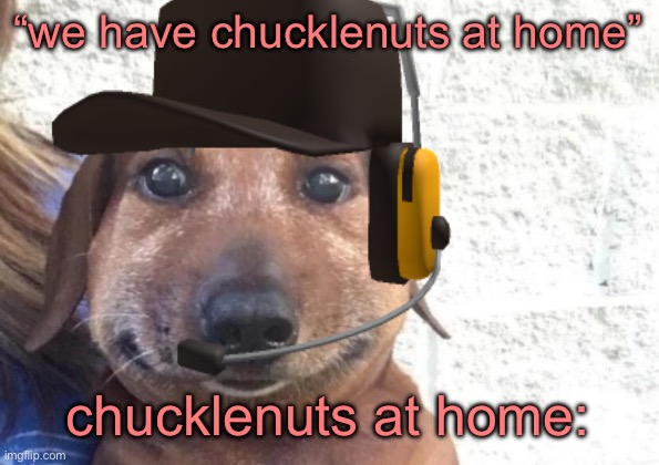 he is staring at you | “we have chucklenuts at home”; chucklenuts at home: | image tagged in he is staring at you | made w/ Imgflip meme maker