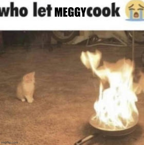 who let bro cook | MEGGY | image tagged in who let bro cook | made w/ Imgflip meme maker