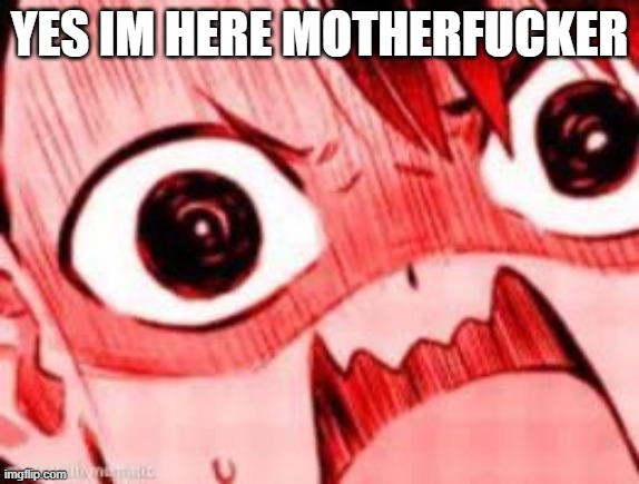 nagatoro screaming | YES IM HERE MOTHERFUCKER | image tagged in nagatoro screaming | made w/ Imgflip meme maker